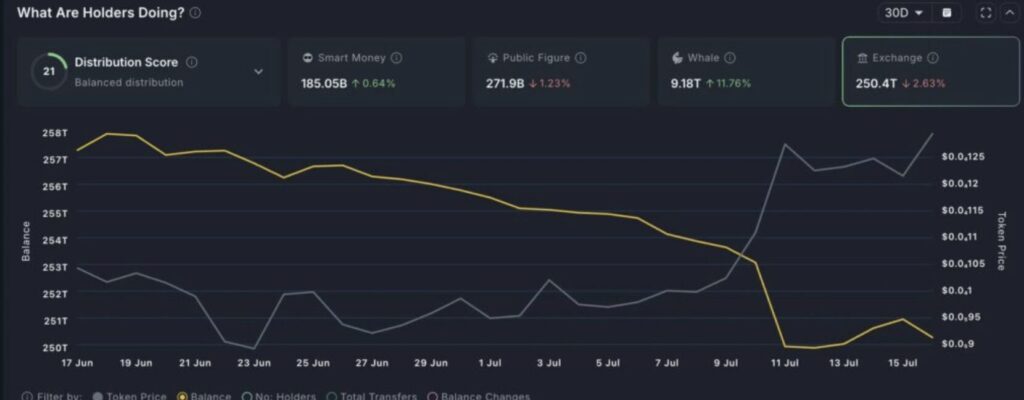 Holdings wale von PEPE