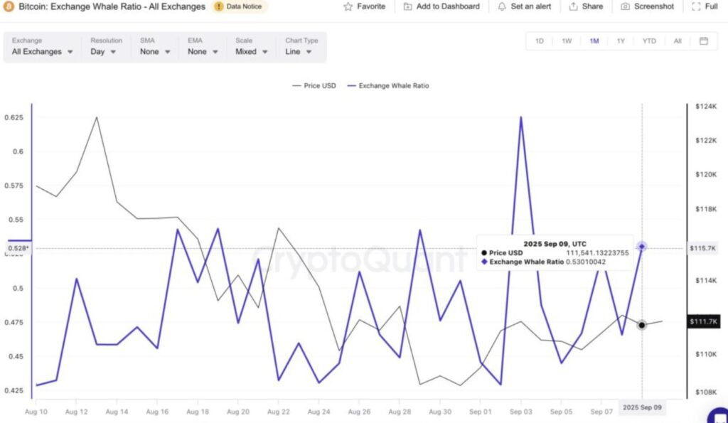 Grafik der Bitcoin-Wale an den Börsen