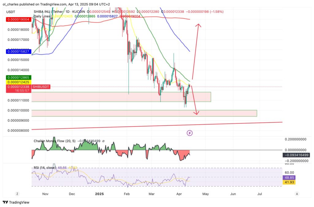 Shiba Inu price in 1D