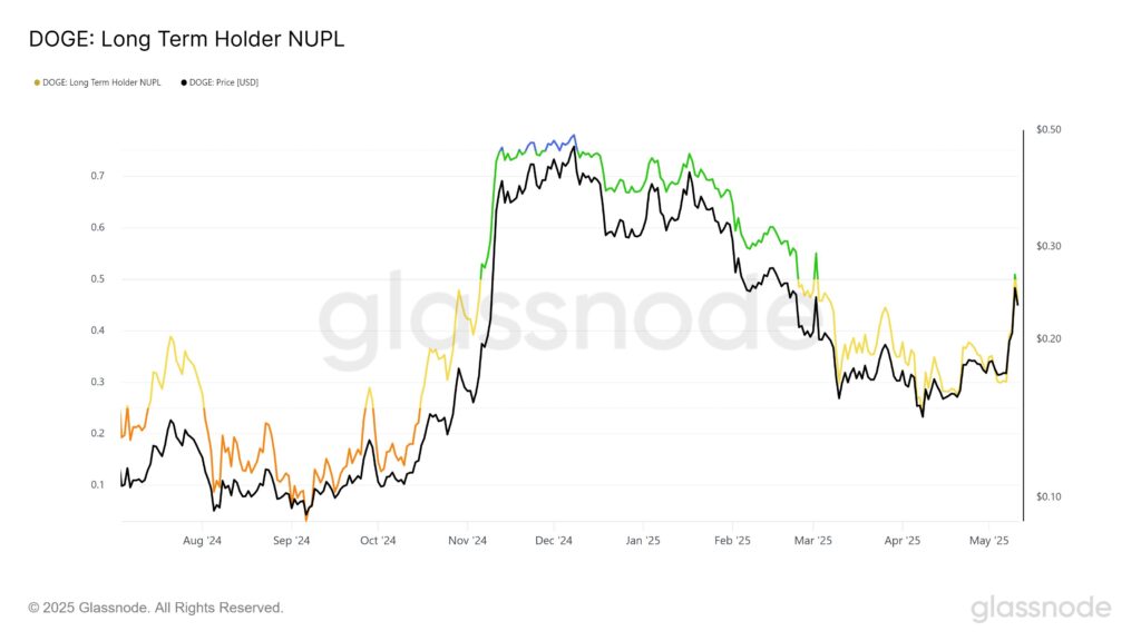 long-term DOGE holders