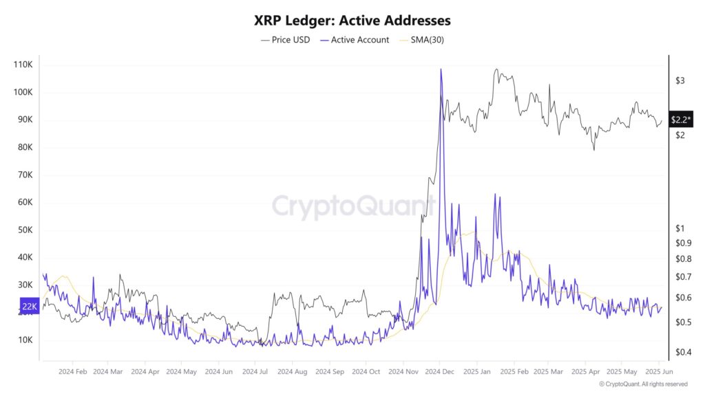 active addresses on Ripple Ledger