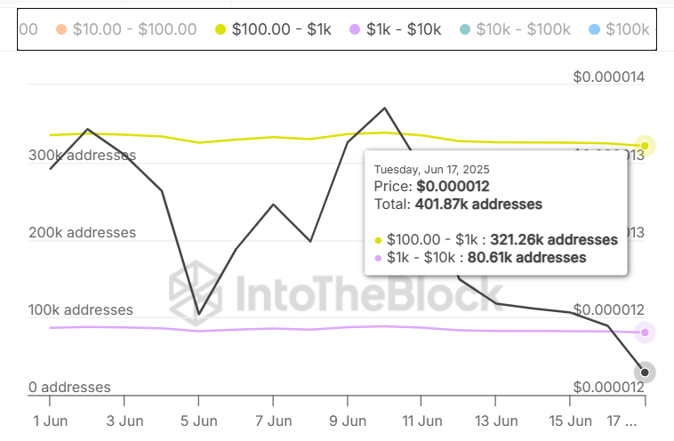 graph of SHIB holders between 100 and 1000 dollars