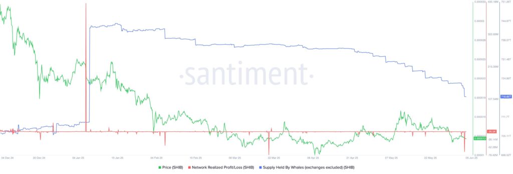 SHIB supply chart held by investors and whales