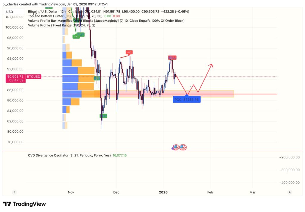 Bitcoin price chart over 12 hours with VPFR indicator