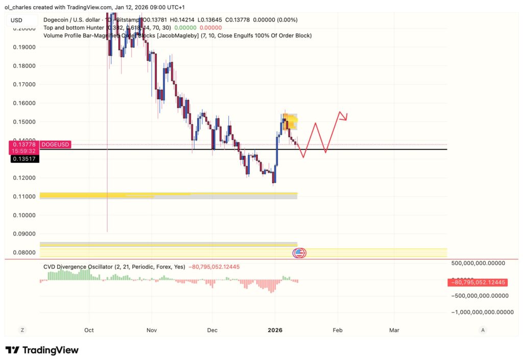 Gráfico del precio de DOGE Dogecoin en un día con order block