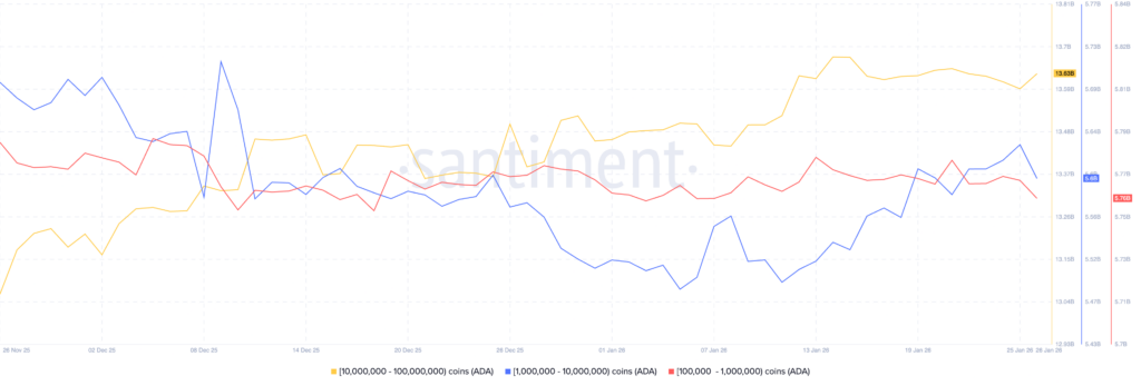 Gráfico de las acumulaciones de ballenas Cardano en ADA con líneas de colores