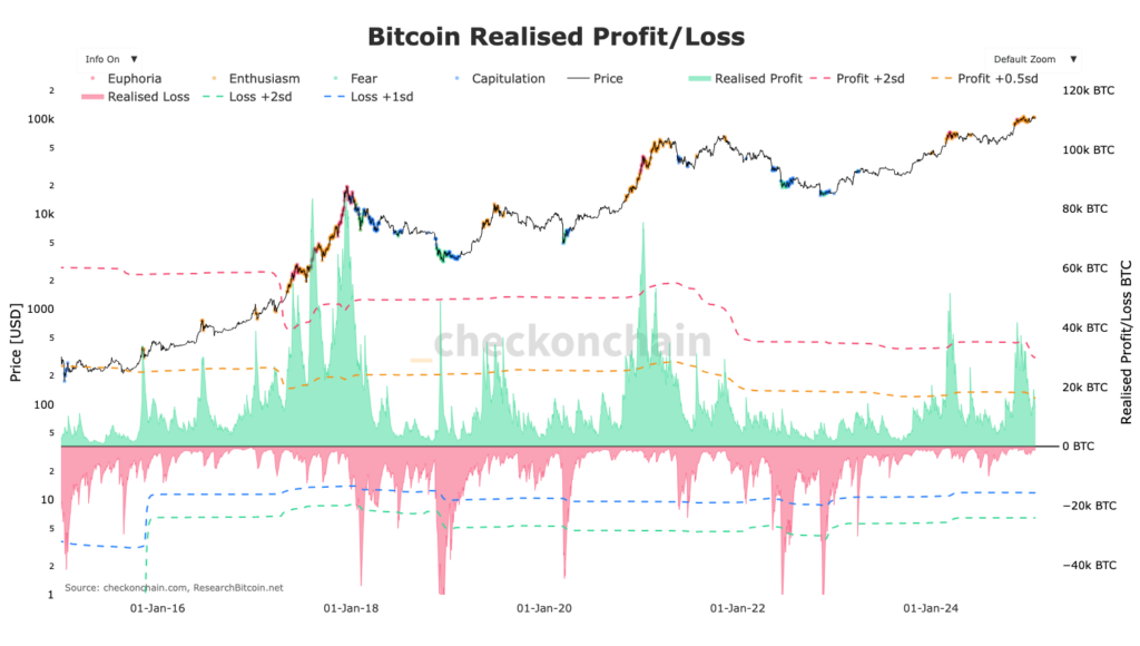 bitcoin profit loss