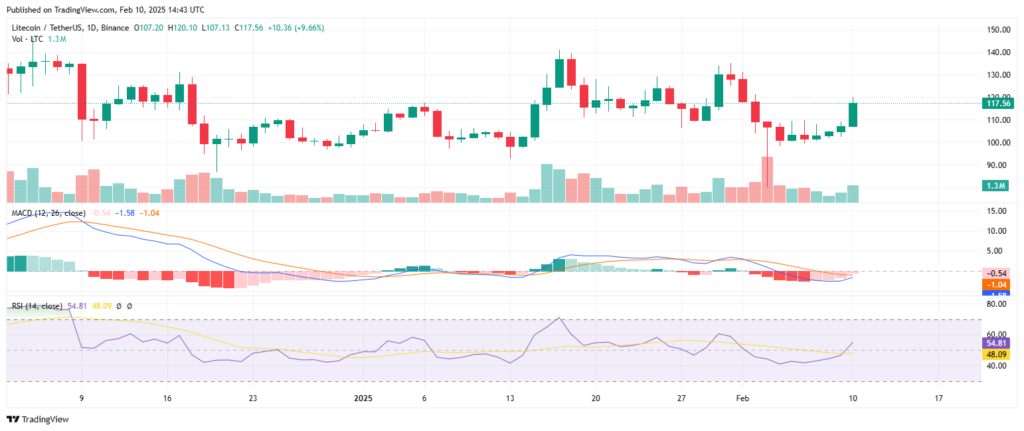 Análise técnica do preço da criptomoeda Litecoin