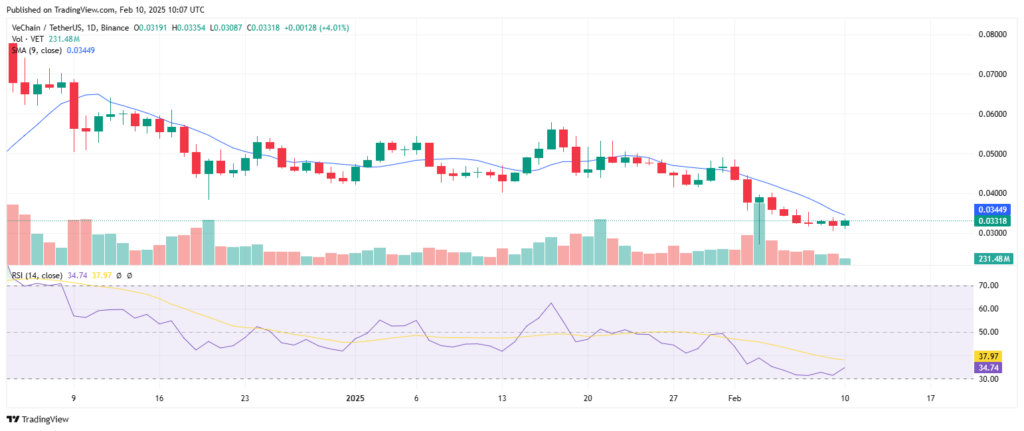 Análise técnica do preço da criptomoeda VetChain