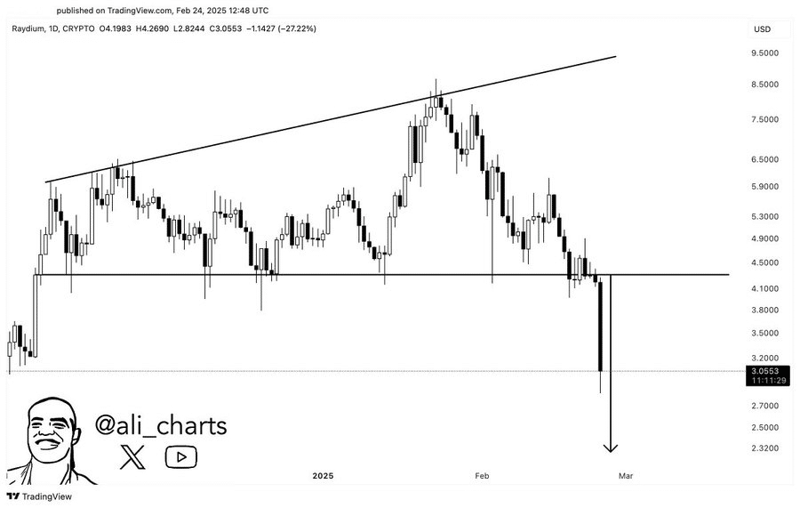 gráfico RAY Raydium fevereiro 2025