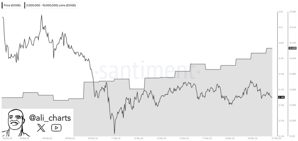 entradas de baleias Dogecoin