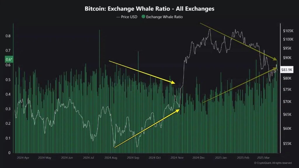 Gráfico do rácio de baleias de exchange Bitcoin