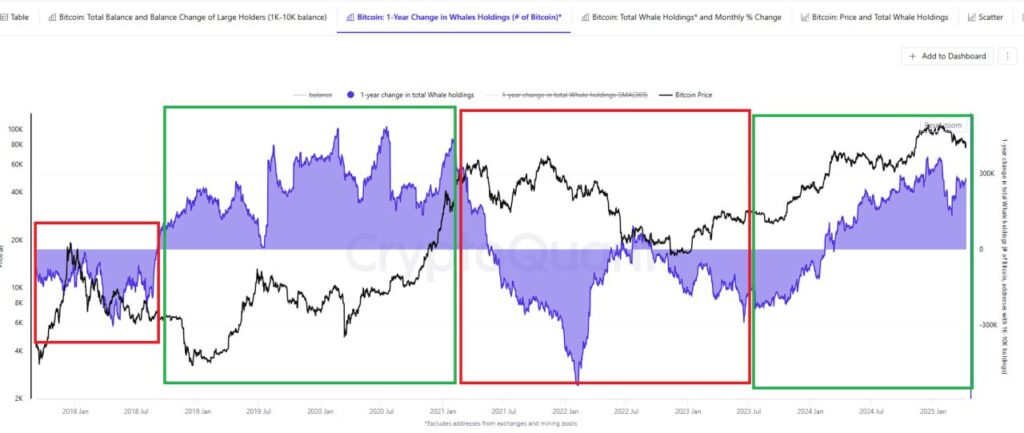 baleia de Bitcoin segurando