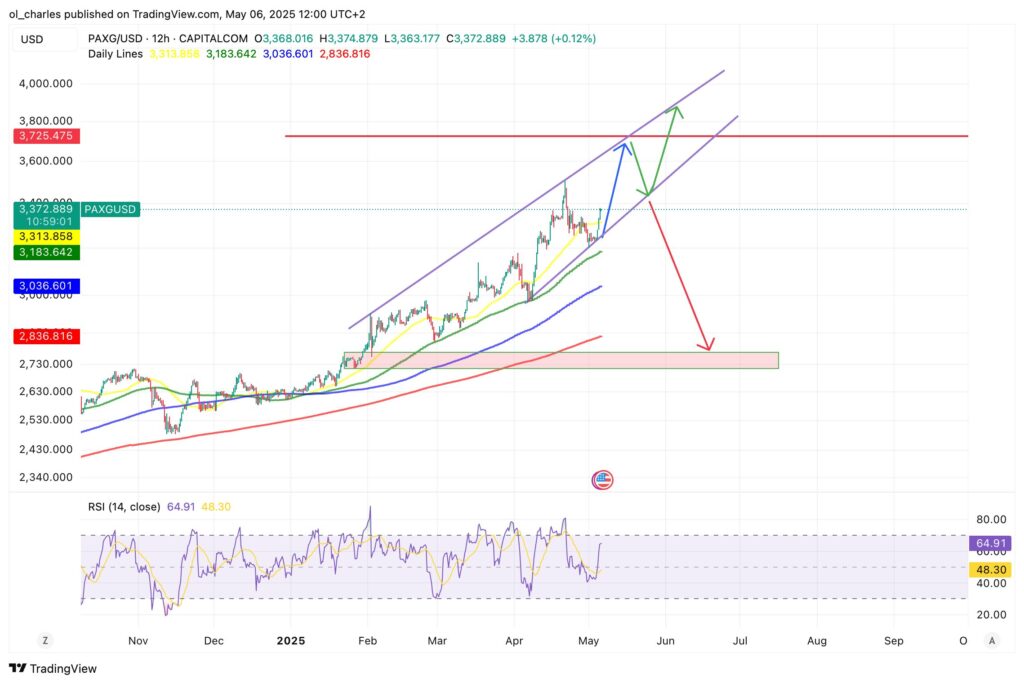 PAXG pax gold 12H tradingview