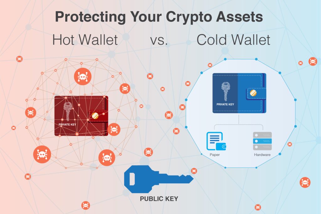 hot wallet cold wallet crypto