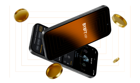 Bybit VIP