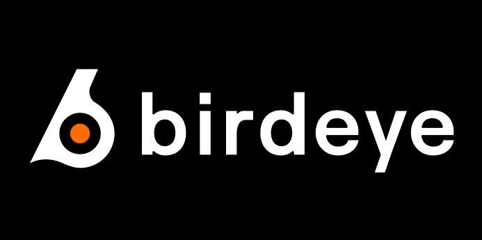 Birdeye logo