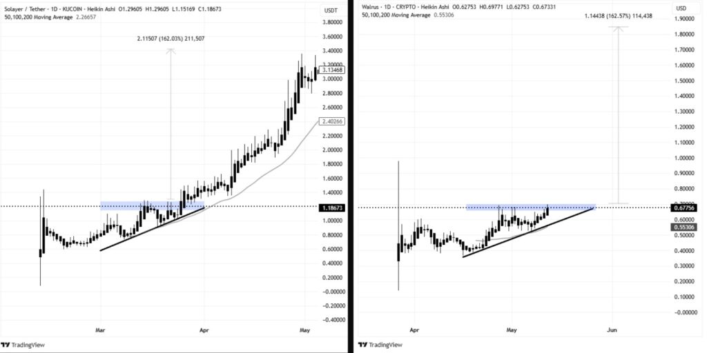 Uma comparação entre Solayer e Walrus