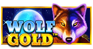 wolf gold