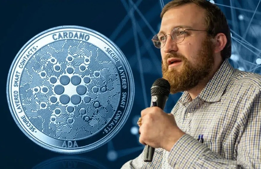 Criador cardano