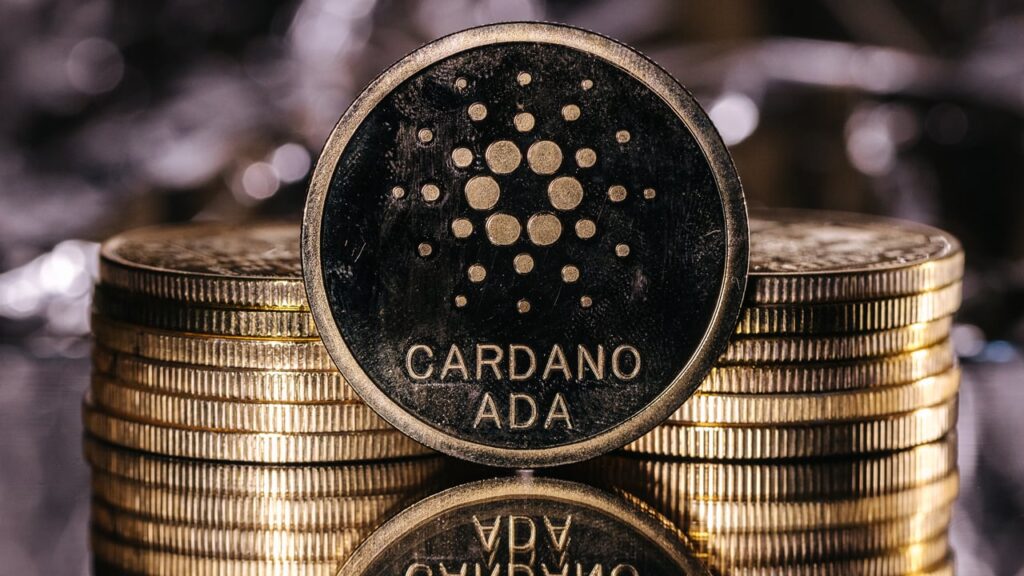 Cardano utilidade