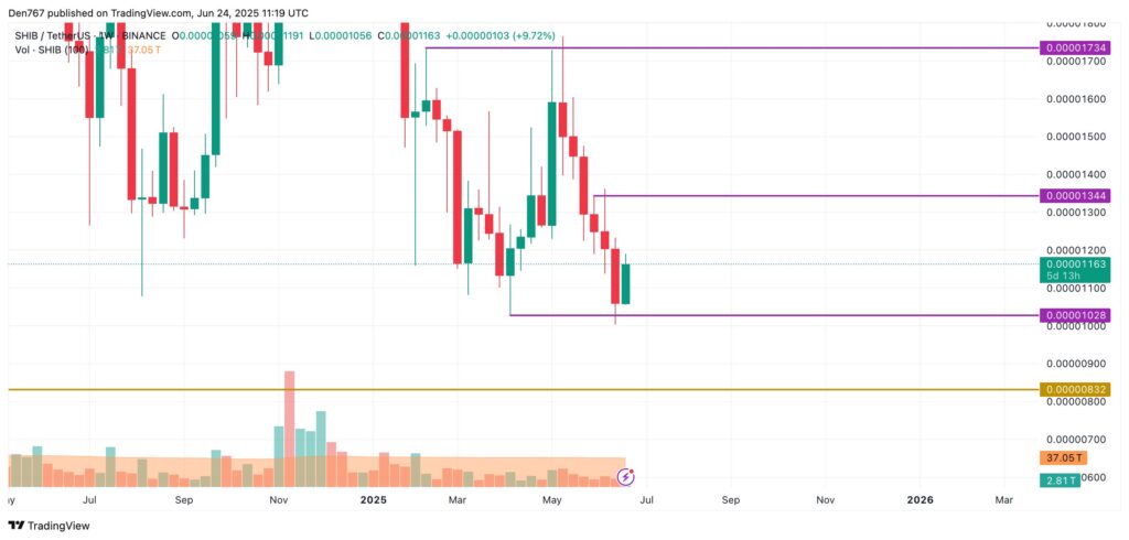 gráfico preço shiba inu SHIB
