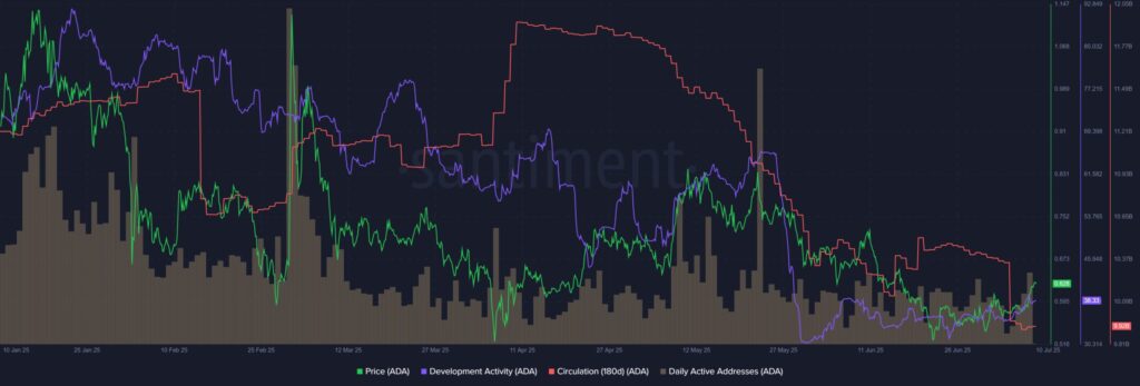 gráfico da atividade na cardano