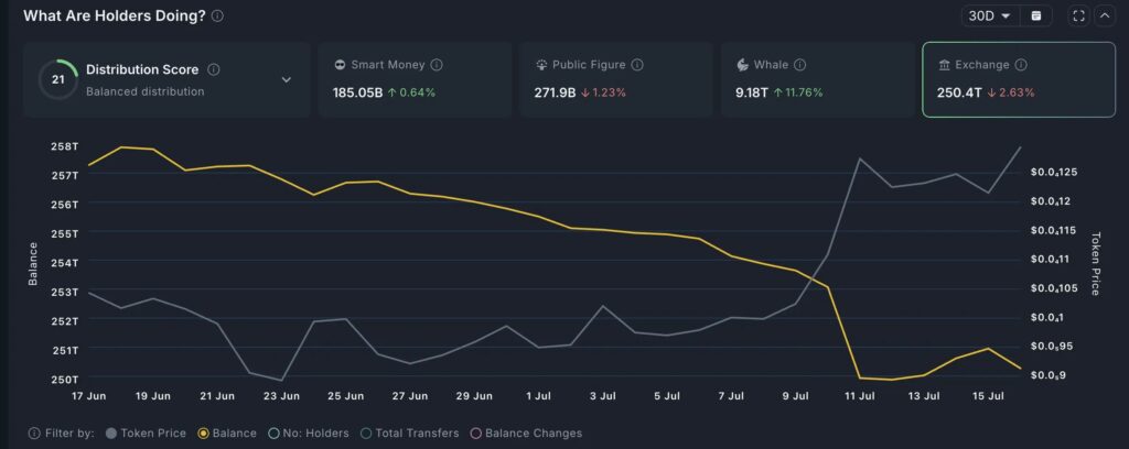 gráfico das participações das grandes carteiras em PEPE