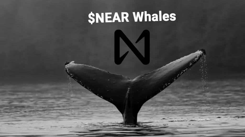 NEAR whales