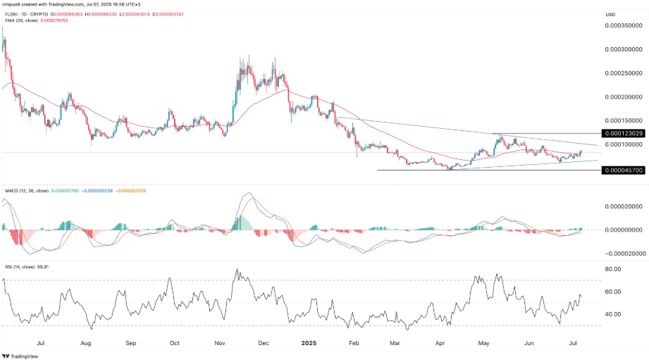 análise preço floki