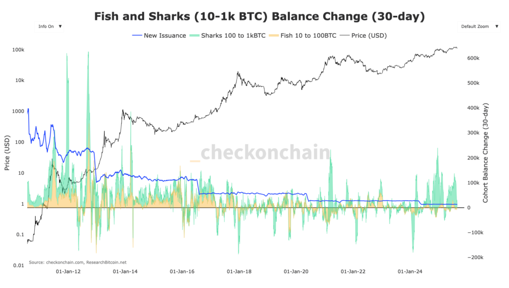 gráfico das baleias 1k 10k Bitcoin