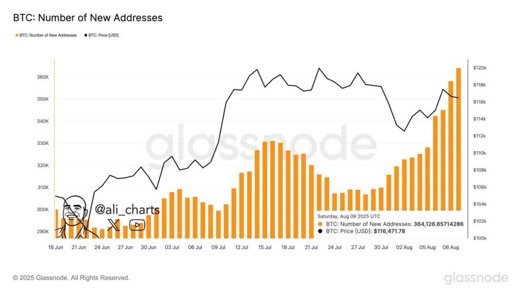 btc new addresses chart