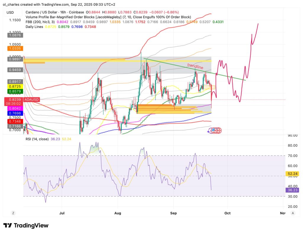 curso da cardano em 16H