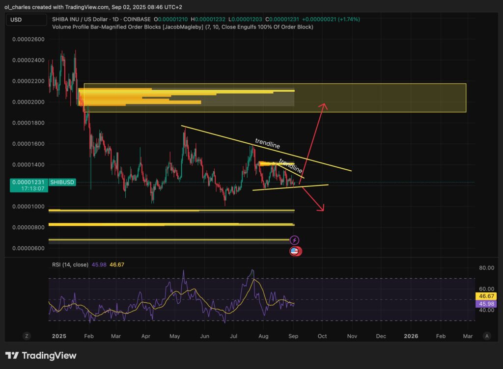 cotação do SHIBA INU em 1 dia