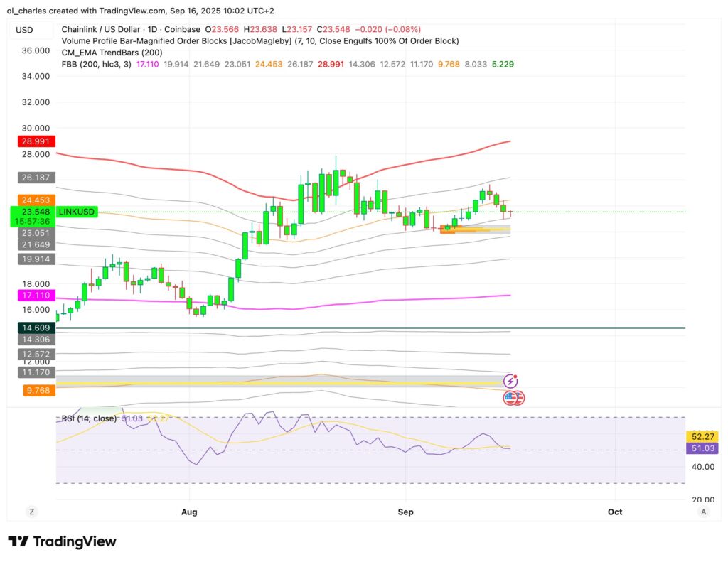 curso do LINK em 1 dia
