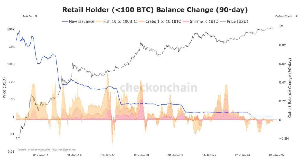 gráfico das despesas dos retails holders em Bitcoin