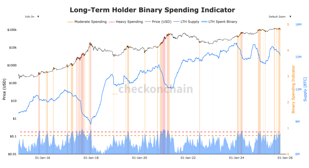 gráfico dos gastos dos LTH Bitcoin