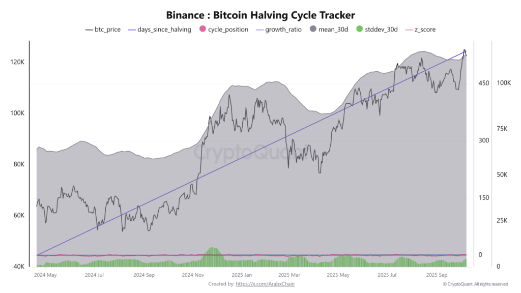 rastreador de ciclo de halving bitcoin